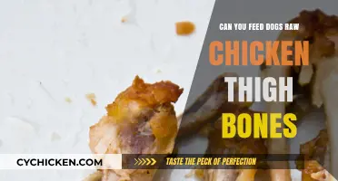 Raw Chicken Thigh Bones for Dogs: Safe or Risky?