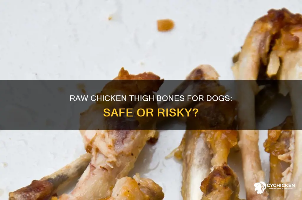 can you feed dogs raw chicken thigh bones