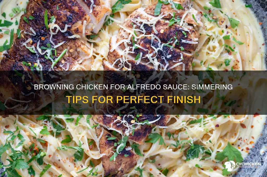 can you finish cooking browned chicken simmering in alfredo sauce