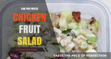 Chill Out: The Ultimate Guide to Freezing Chicken Fruit Salad