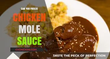 Freezing Chicken Mole Sauce: Tips for Preserving Rich Flavors
