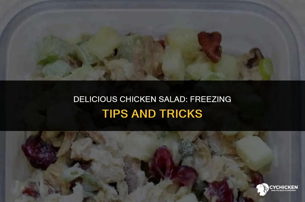 can you freeze chicken salad recipes