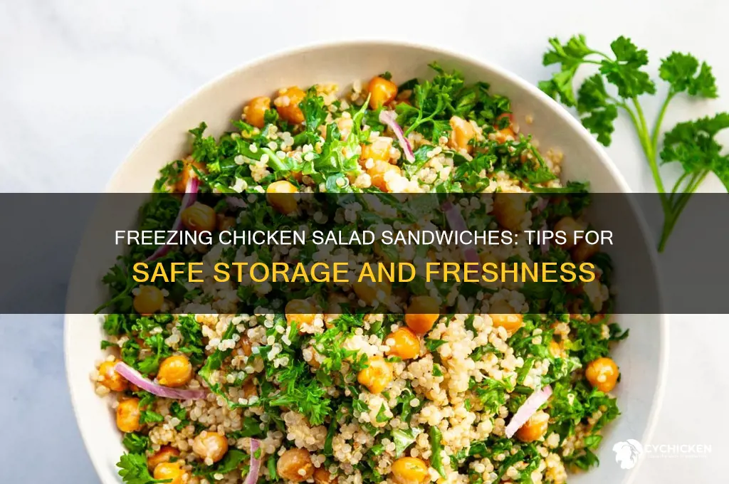 can you freeze chicken salad sandwiches