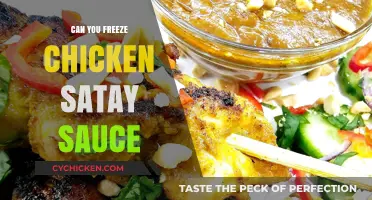 Freezing Chicken Satay Sauce: Tips for Preserving Flavor and Texture