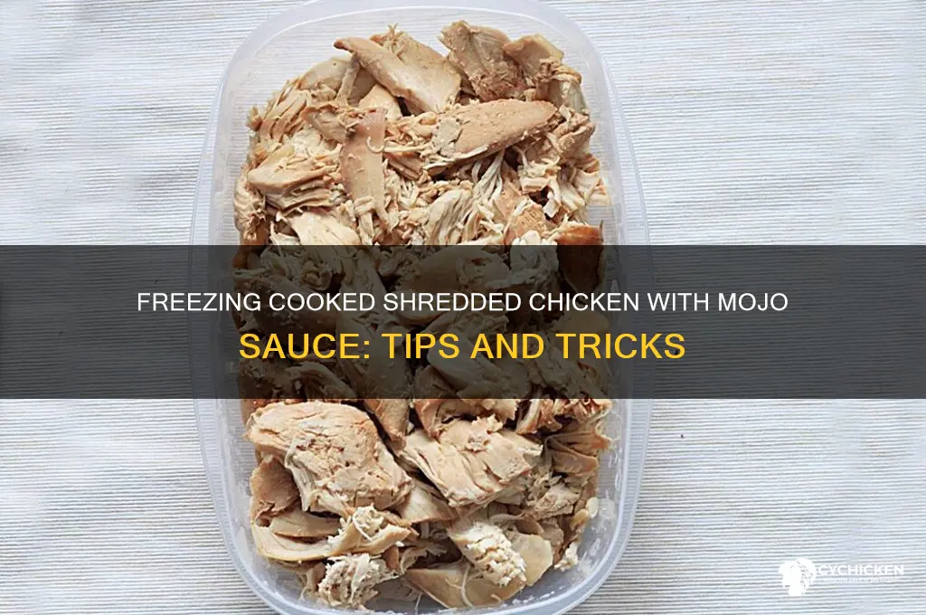 can you freeze cooked shredded chicken with mojo sauce