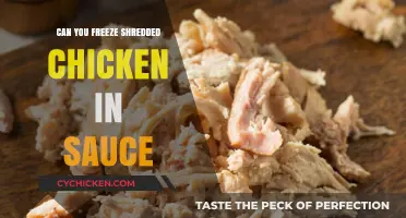 Freezing Shredded Chicken in Sauce: Tips for Perfect Storage and Reheating
