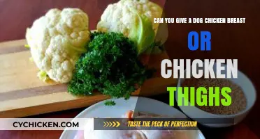 Chicken Breast or Thighs: Safe and Healthy Dog Food Options?