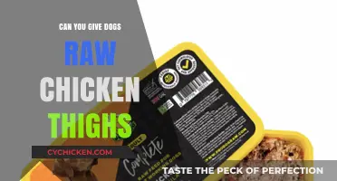 Raw Chicken Thighs for Dogs: Safe Feeding Tips and Risks