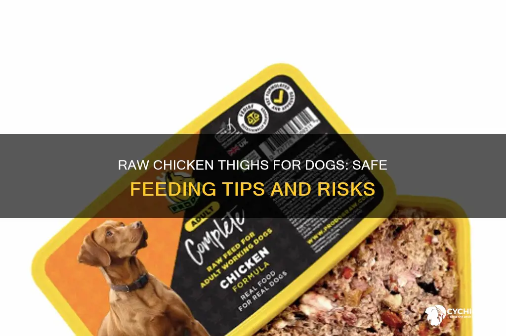 can you give dogs raw chicken thighs