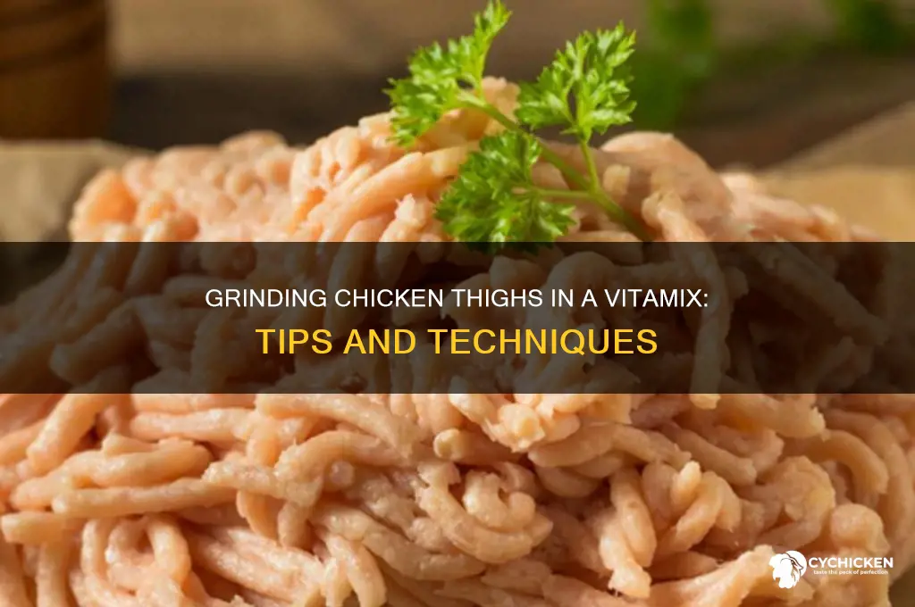 can you grind chicken thighs in a vitamix
