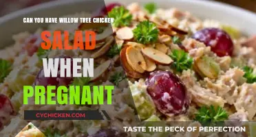 Willow Tree Chicken Salad: Safe for Pregnant Women?