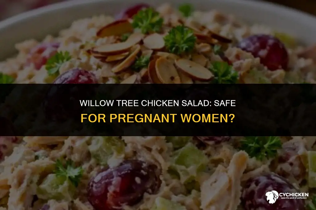 can you have willow tree chicken salad when pregnant