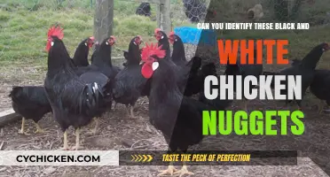 Unveiling the Mystery: Identifying Black and White Chicken Nuggets