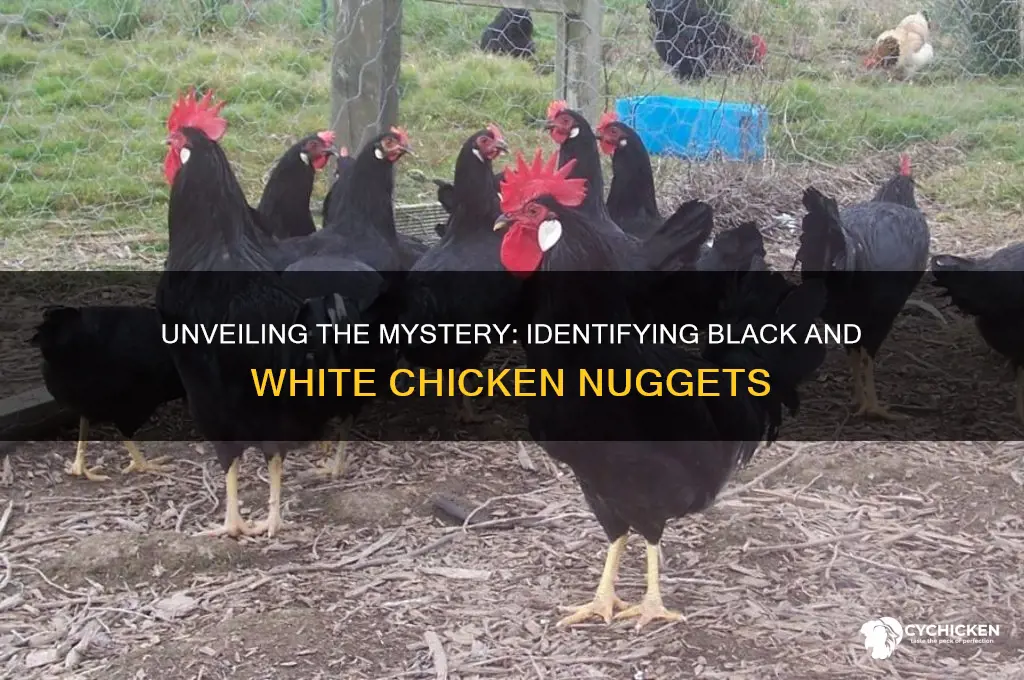 can you identify these black and white chicken nuggets