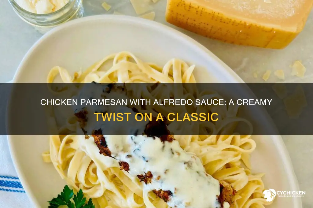 can you make chicken parmesan with alfredo sauce