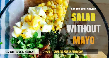 Creamy Chicken Salad Alternatives: Mayo-Free Recipes to Try