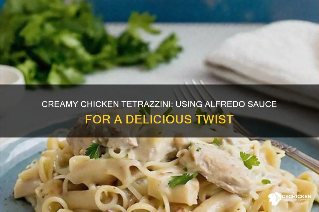 can you make chicken tetrazzini with alfredo sauce