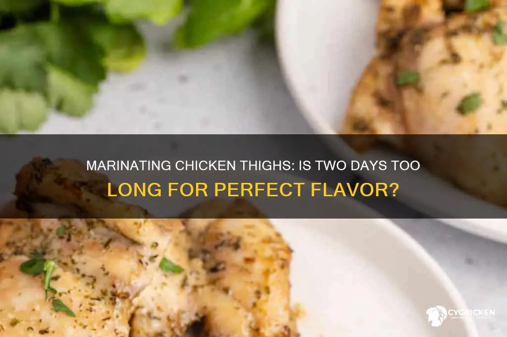 can you marinade chicken thighs for two days