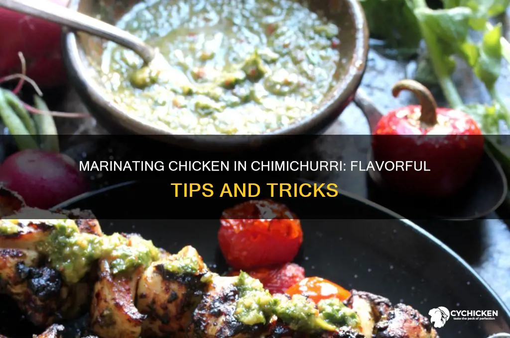 can you marinate chicken in chimichurri sauce
