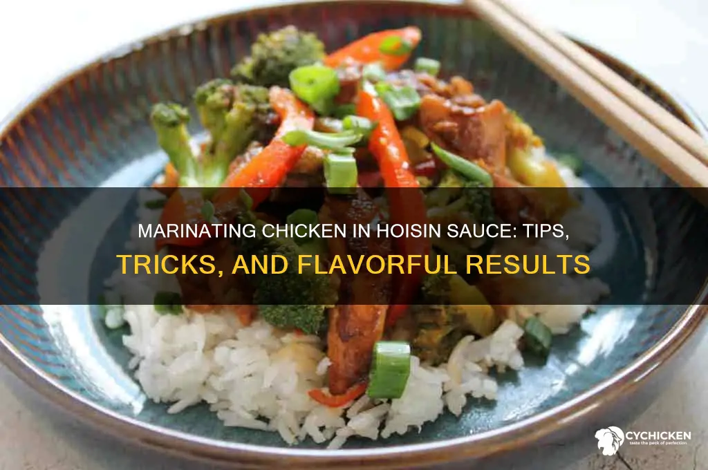 can you marinate chicken in hoisin sauce