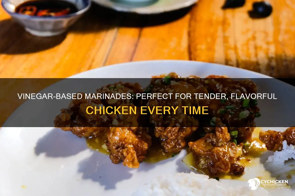 can you marinate chicken in vinegar based sauce