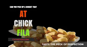 Chick-fil-A Nugget Tray: Can You Grab One for Your Next Meal?