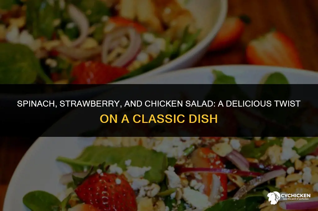can you put chicken in a spinach strawberry sal ad