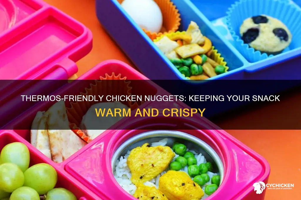 can you put chicken nuggets in a thermos