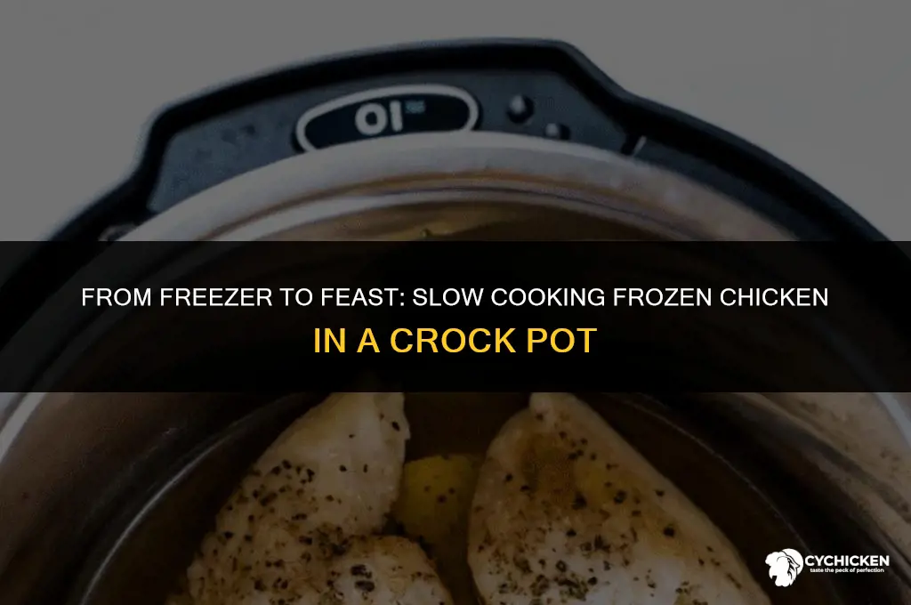 can you put frozen chicken in croc pot