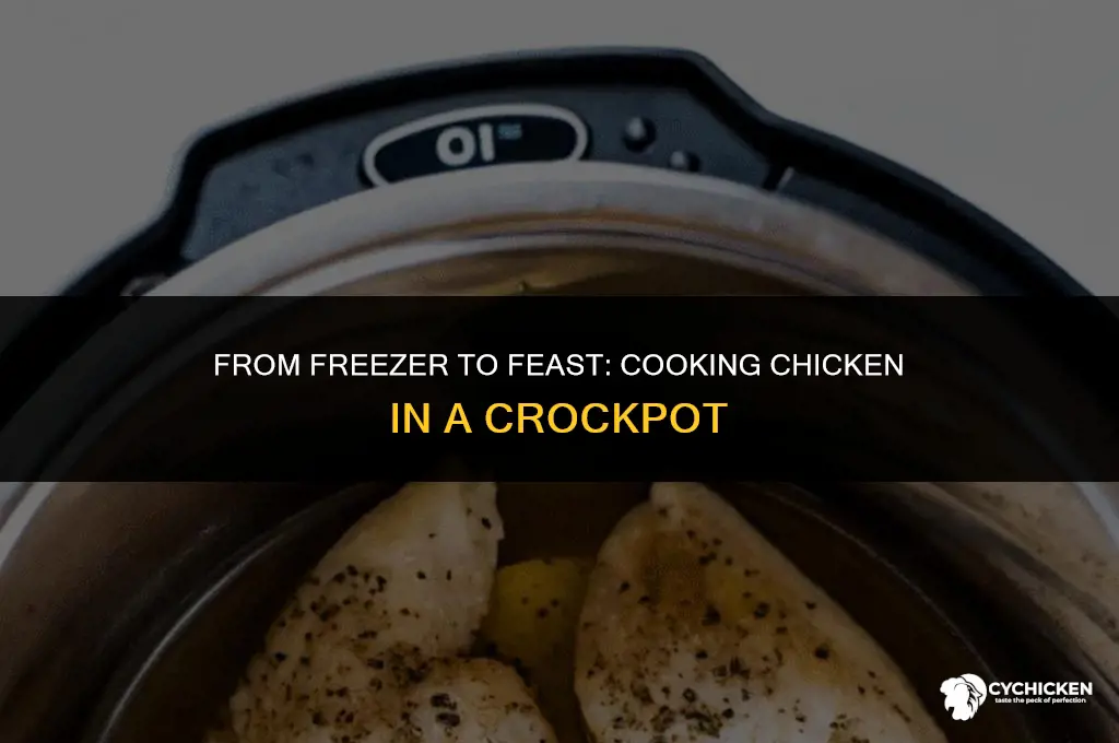 can you put frozen chicken in crockpot to cook