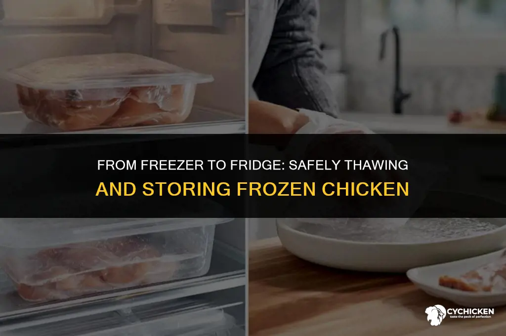 can you put frozen chicken in fridge