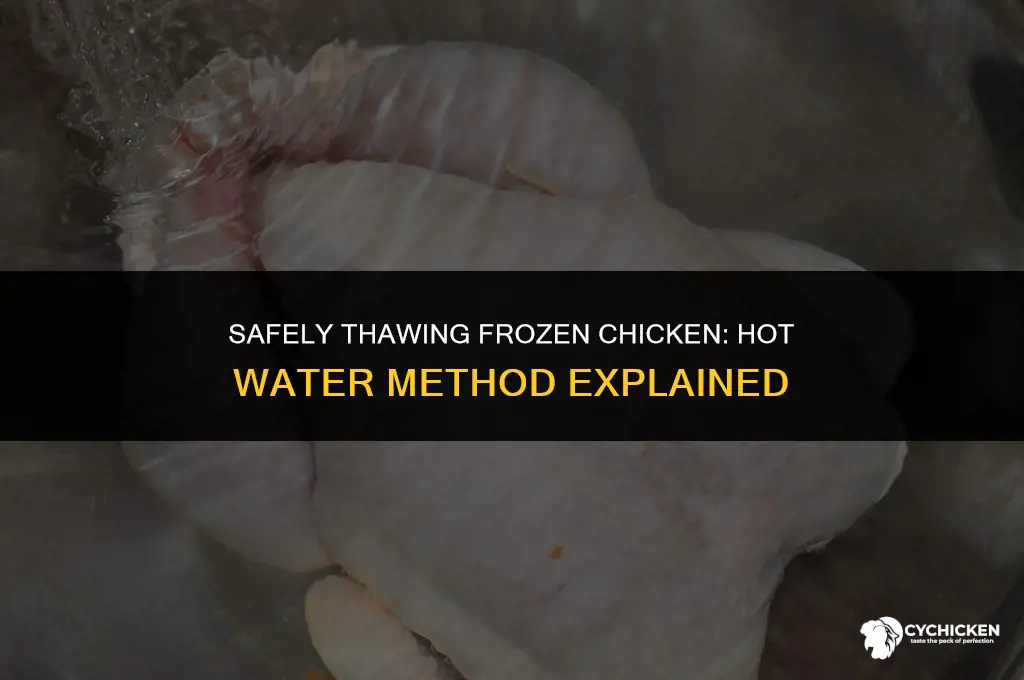 can you put frozen chicken in hot water to thaw
