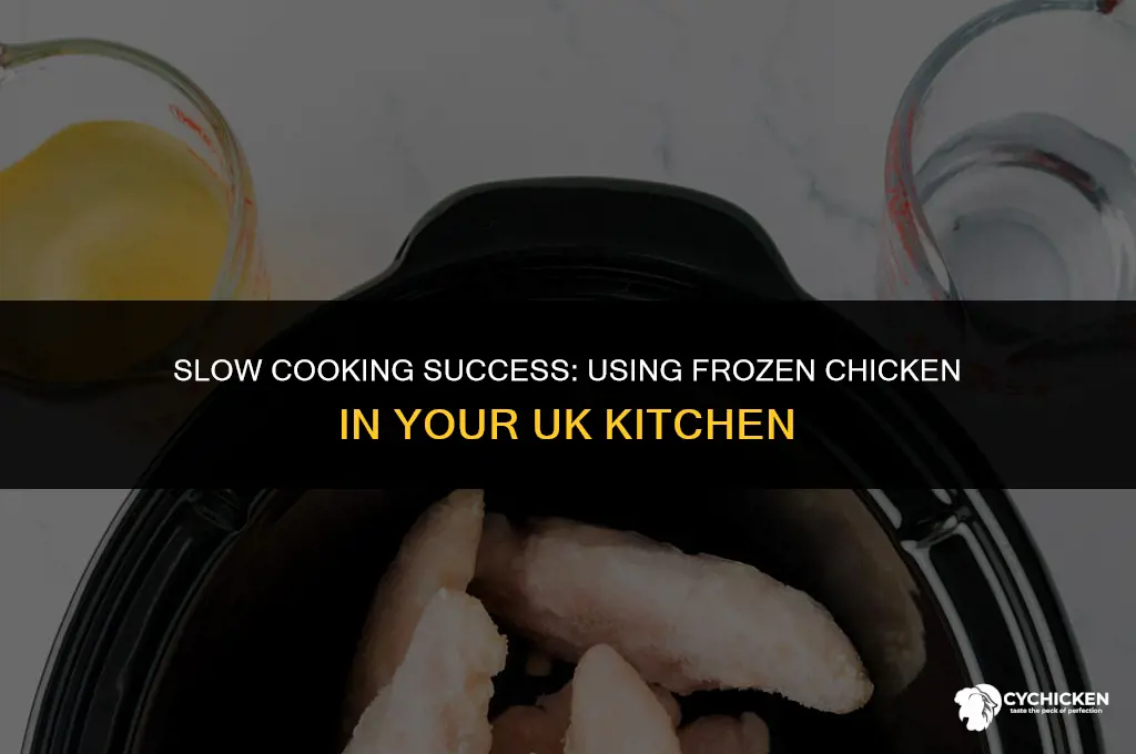 can you put frozen chicken in slow cooker uk