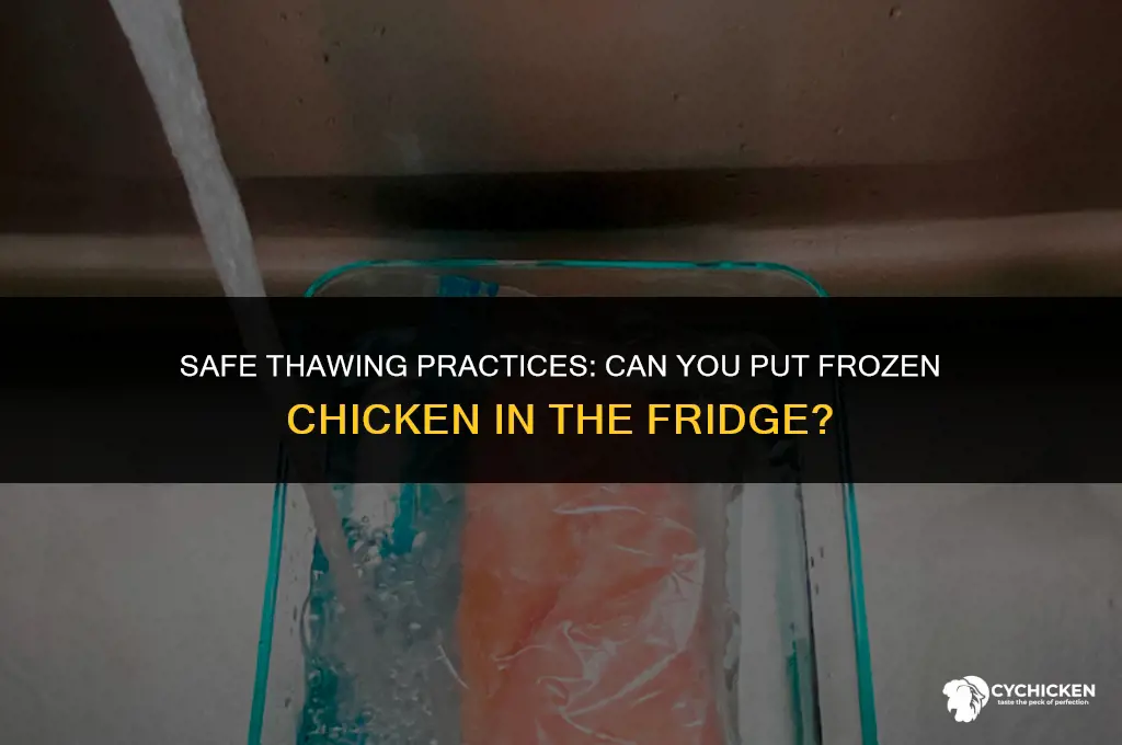 can you put frozen chicken in the fridge to defrost