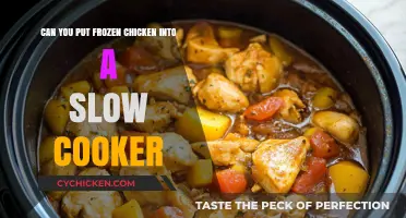 From Freezer to Feast: Slow Cooking Chicken Made Easy