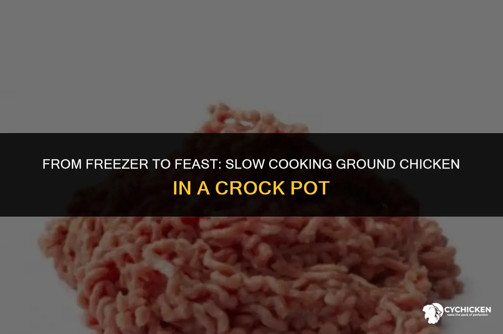 can you put frozen ground chicken in crock pot