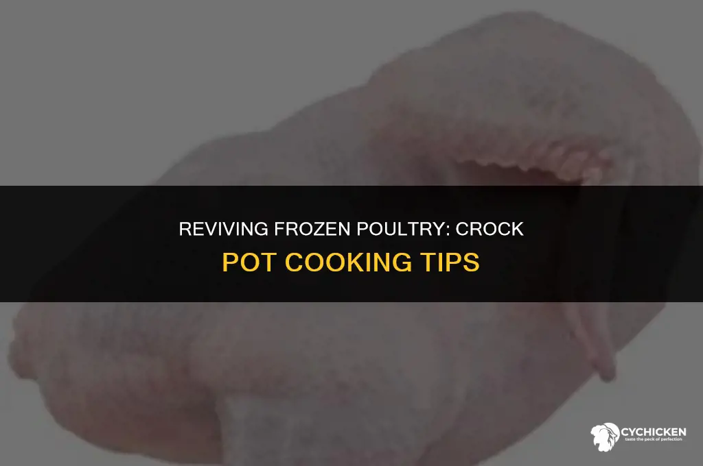 can you put half frozen chicken in crock pot