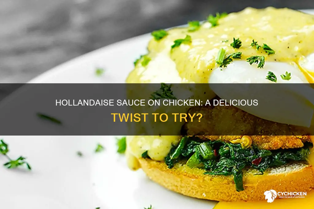 can you put hollandaise sauce on chicken