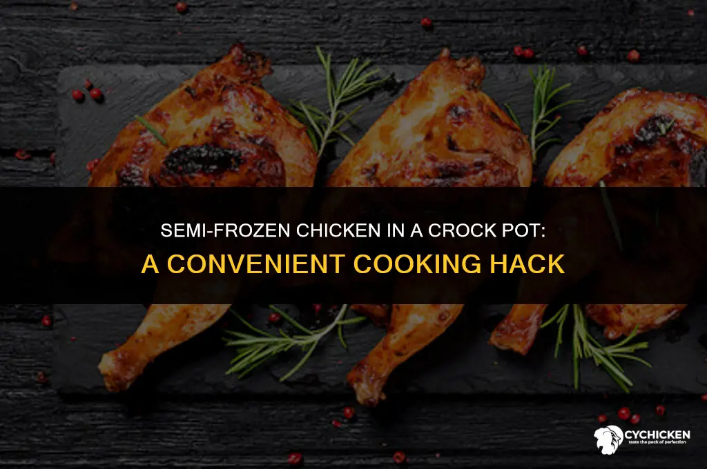 can you put semi frozen chicken in a crock pot