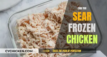 From Freezer to Feast: The Art of Searing Frozen Chicken