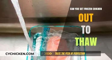 Safe Thawing Practices: Can You Set Frozen Chicken Out to Thaw?