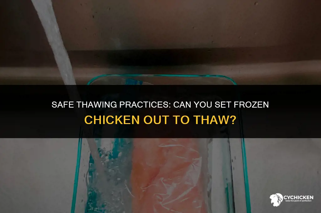 can you set frozen chicken out to thaw