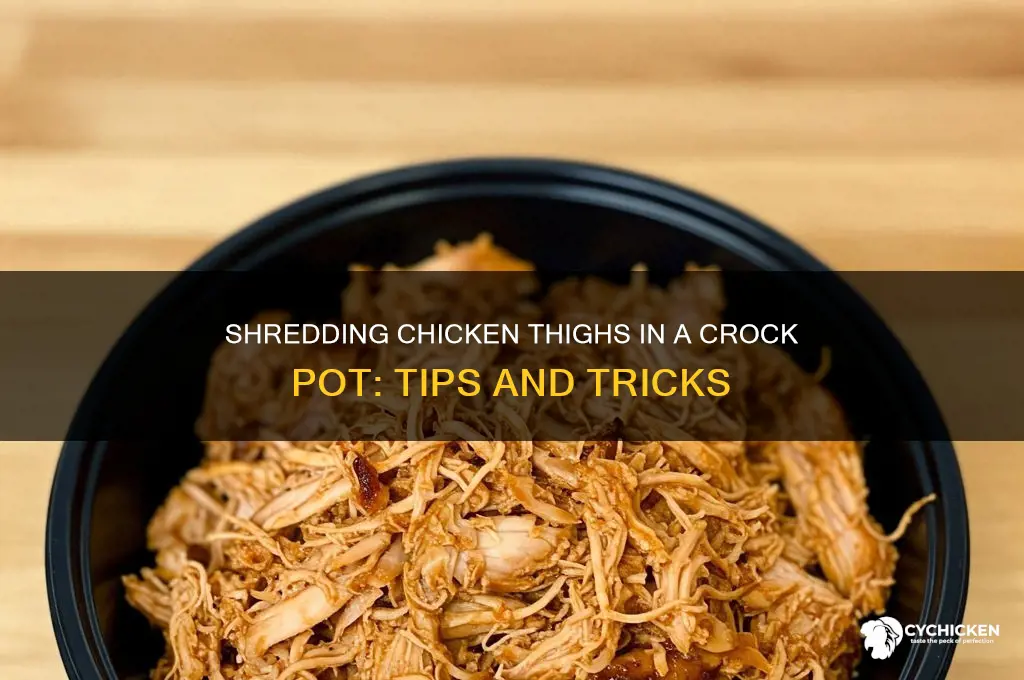 can you shred chicken thighs in crock pot