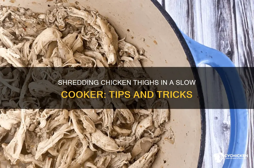 can you shred chicken thighs in slow cooker