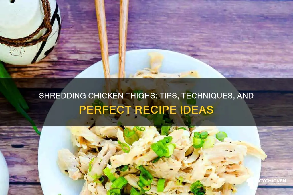 can you shred chicken thighs