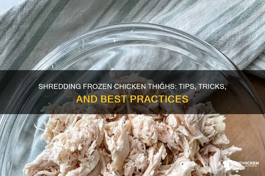 can you shred frozen chicken thighs