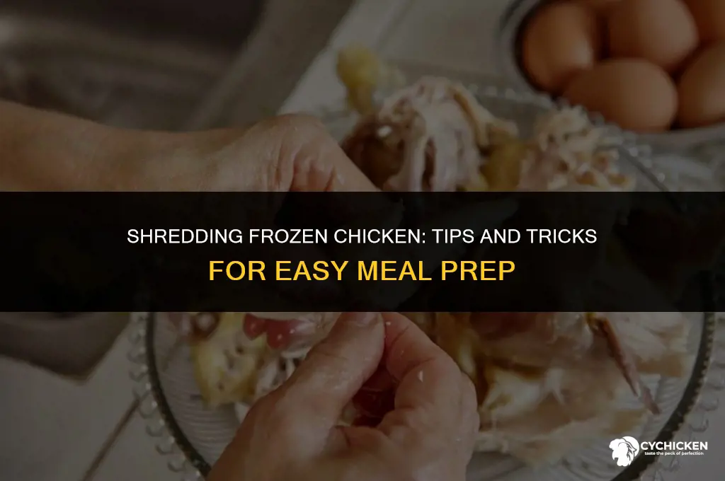 can you shred frozen chicken