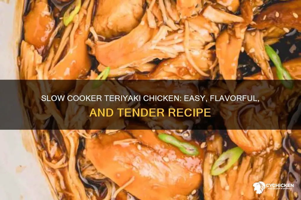 can you slow cook chicken in terriaki sauce