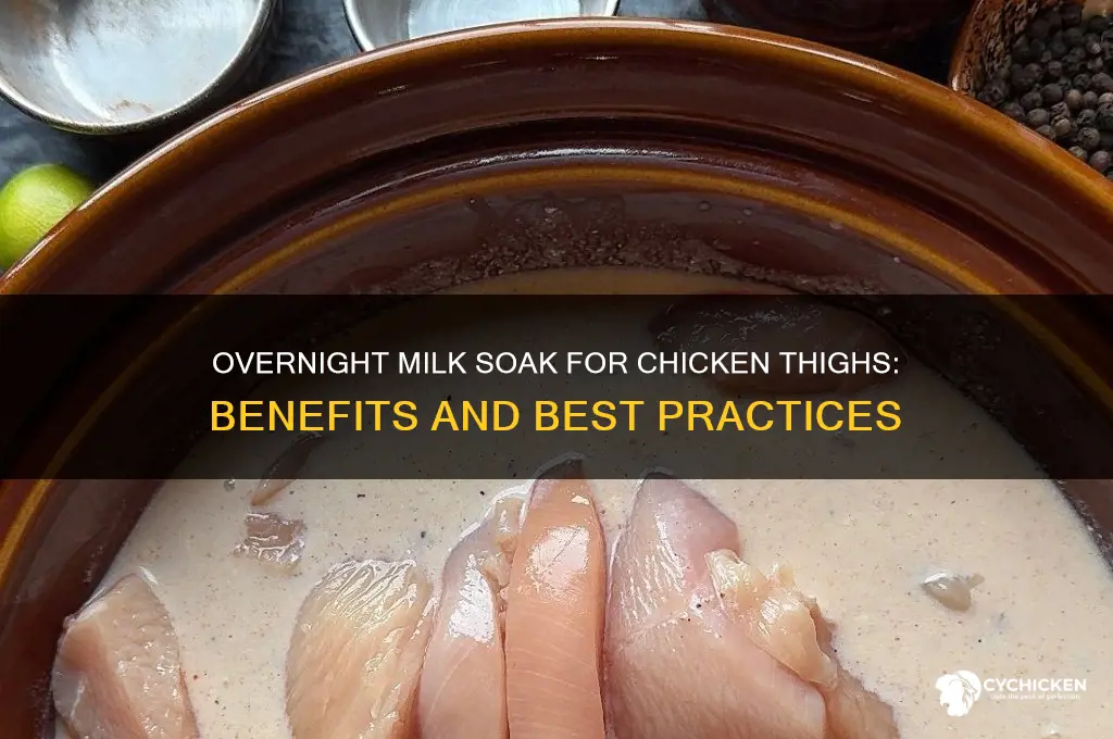 can you soak your chicken thighs in milk overnight
