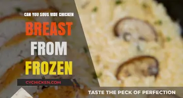 From Frozen to Fabulous: Sous Vide Chicken Breast Made Easy